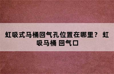 虹吸式马桶回气孔位置在哪里？ 虹吸马桶 回气口